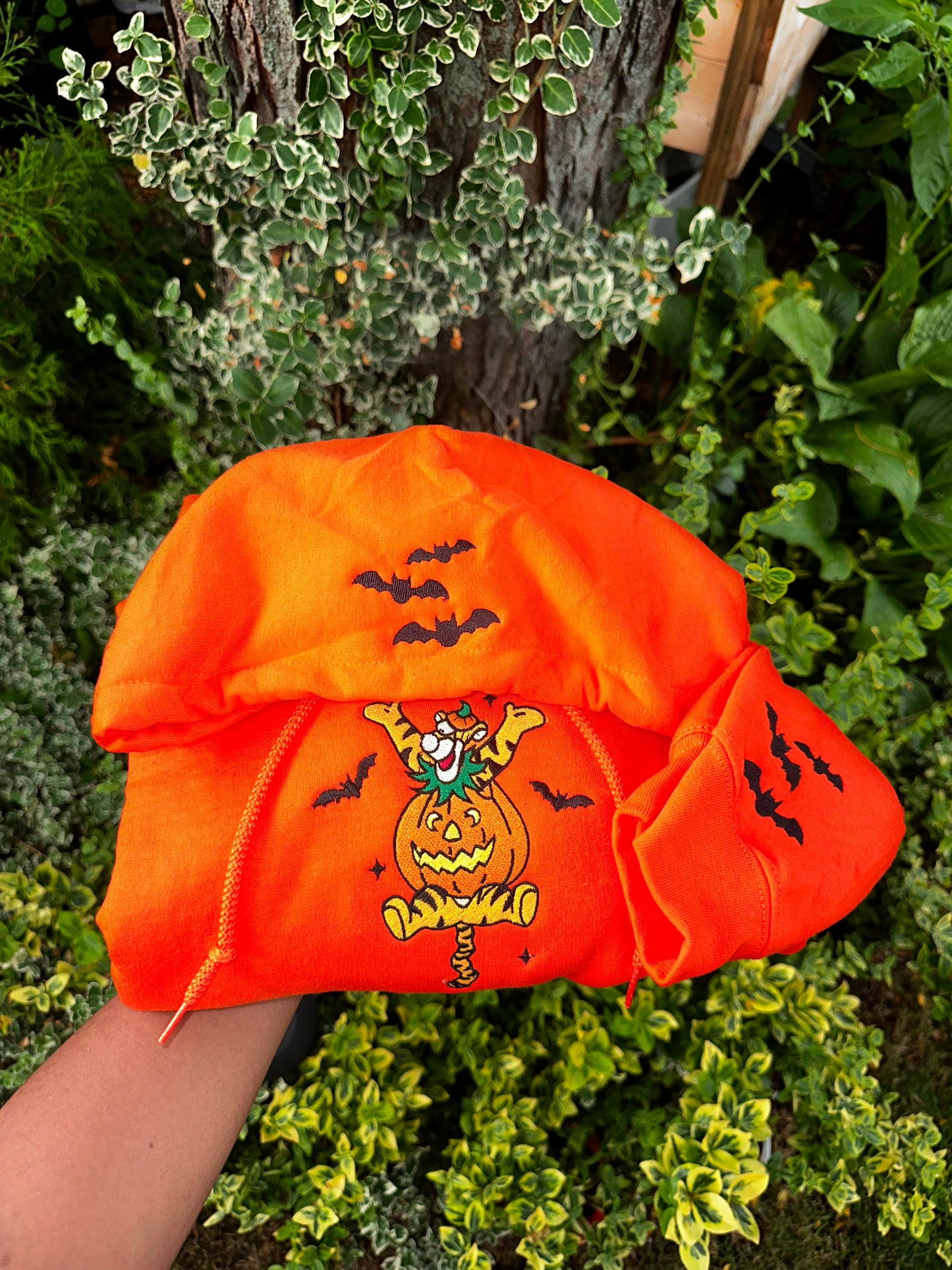 Pumpkin Snuggles & Spooky Donkey – Halloween Embroidered Hoodie